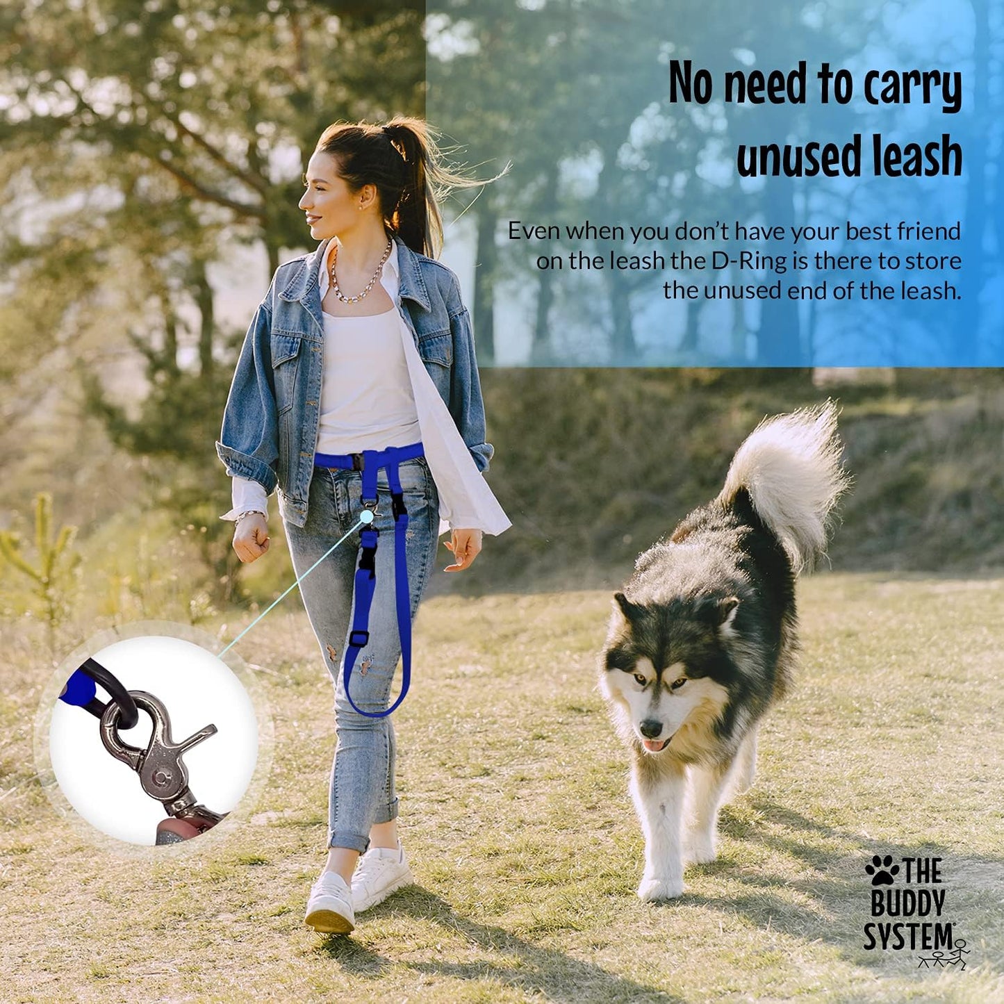 - Hands Free Dog Leash - Regular Dog, Large, Royal Blue | Dog Leash for Walking, Running & Training - Adjustable Waist Belt for Comfort and Control. Customizable - Dogs over 20Lbs.