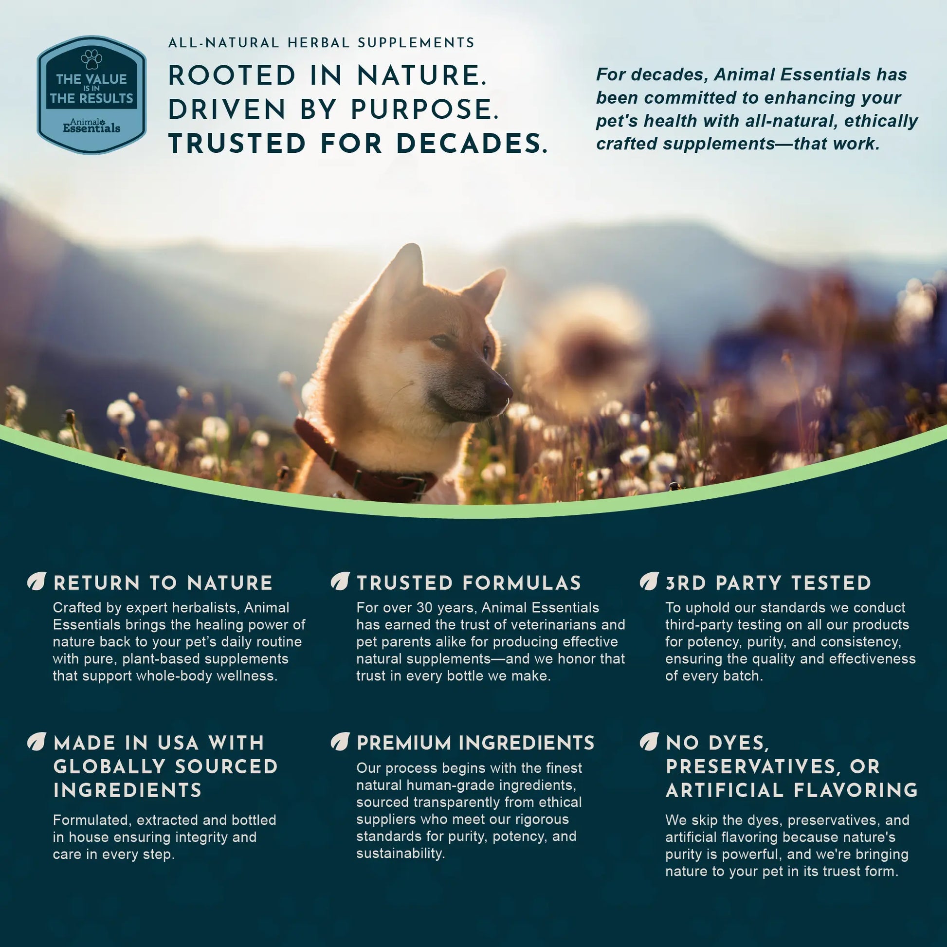 Sea-Dent Anti-Plaque Powder - Dog Dental Powder for Teeth & Gum Support - Organic Kelp & Plant Enzymes for Dogs & Cats