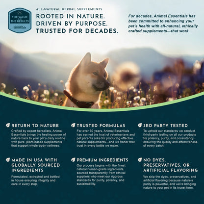 Sea-Dent Anti-Plaque Powder - Dog Dental Powder for Teeth & Gum Support - Organic Kelp & Plant Enzymes for Dogs & Cats