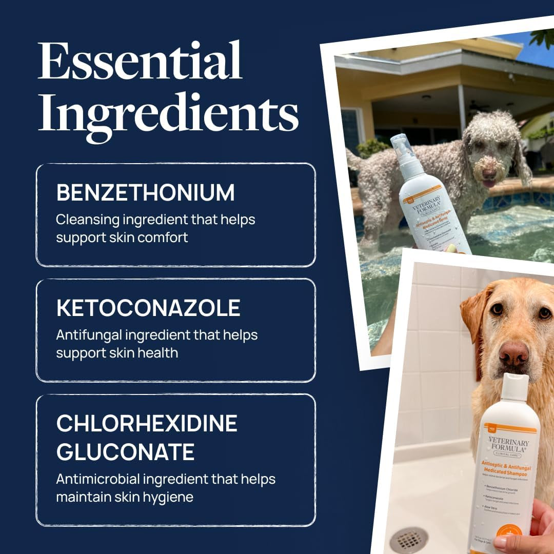 Clinical Care Antiseptic & Antifungal Shampoo, 16 Oz | Medicated Formula Helps Alleviate Scaly, Greasy and Red Skin; Free from Parabens, Dyes and Soap