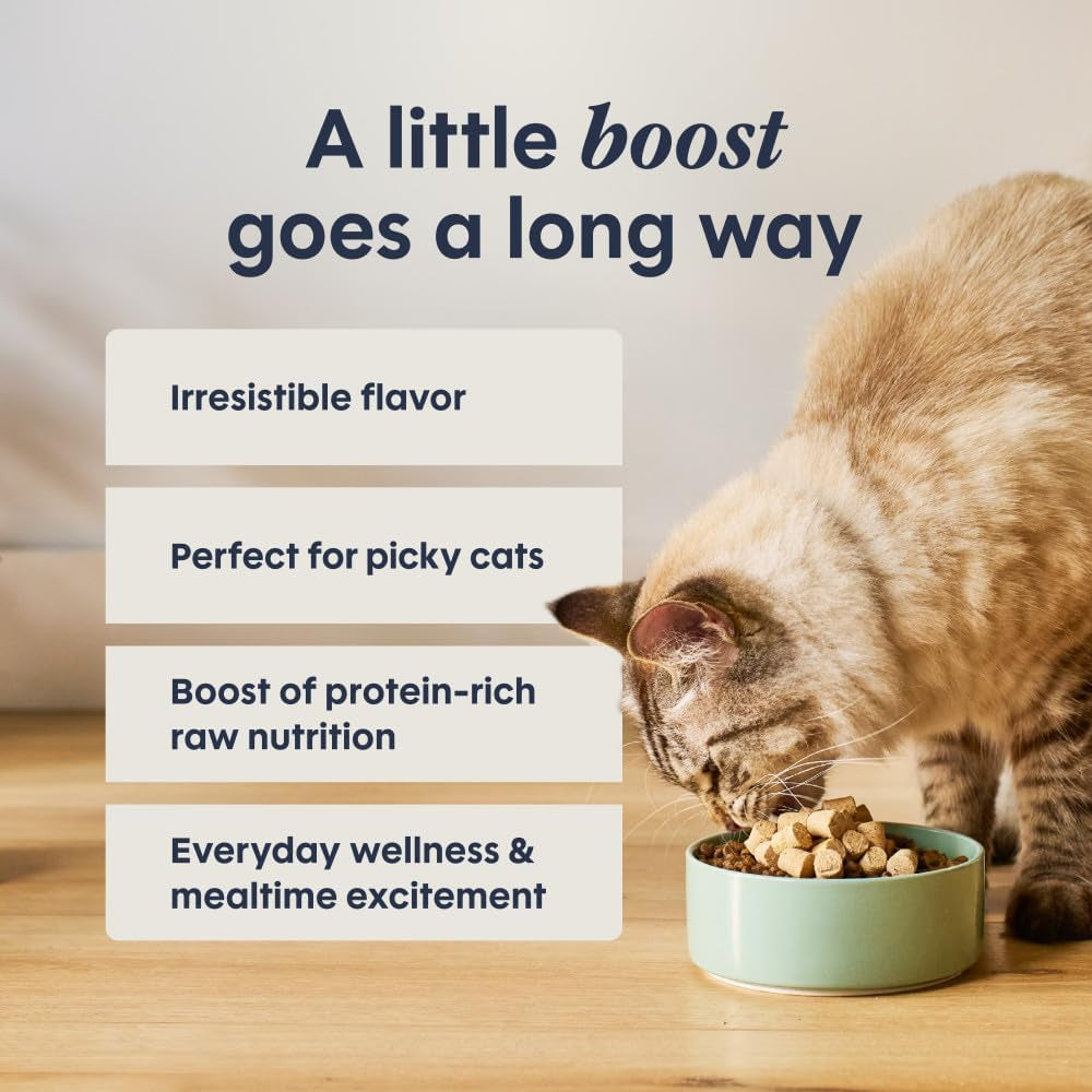 Raw Boost Mixers Freeze Dried Raw Cat Food Topper, Grain Free Cat Food Topper 6 Ounce (Pack of 1) | Freeze-Dried Raw Meal Topper or Treat, Cage-Free Chicken, Non-Gmo Fruits & Vegetables, Adds Nutrition & Flavor