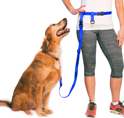 - Hands Free Dog Leash - Regular Dog, Large, Royal Blue | Dog Leash for Walking, Running & Training - Adjustable Waist Belt for Comfort and Control. Customizable - Dogs over 20Lbs.