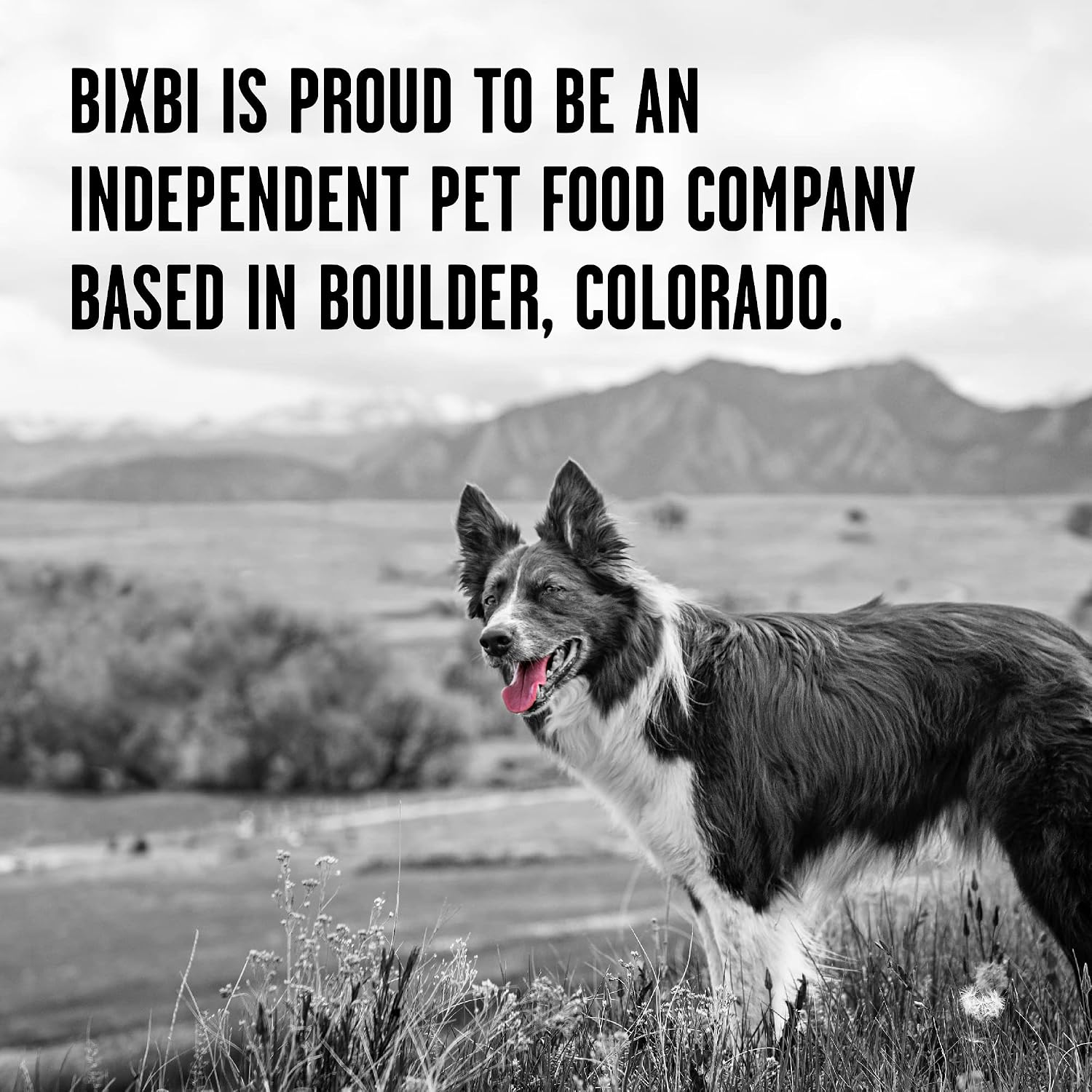 Nourish Your Pup with Liberty Freeze-Dried Beef Dog Food Topper & Treats – 98% Meat & Organs, No Refrigeration Needed, Made in the USA, 12 Oz
