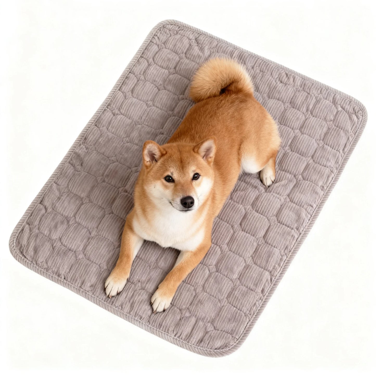 Extra Large Dog Crate Mat,48 X 36 Inch Dog Kennel Mat with Anti-Slip Bottom, Washable Soft Corduroy Dog Mat with Three-Dimensional Texture and Durable Fine Hemming