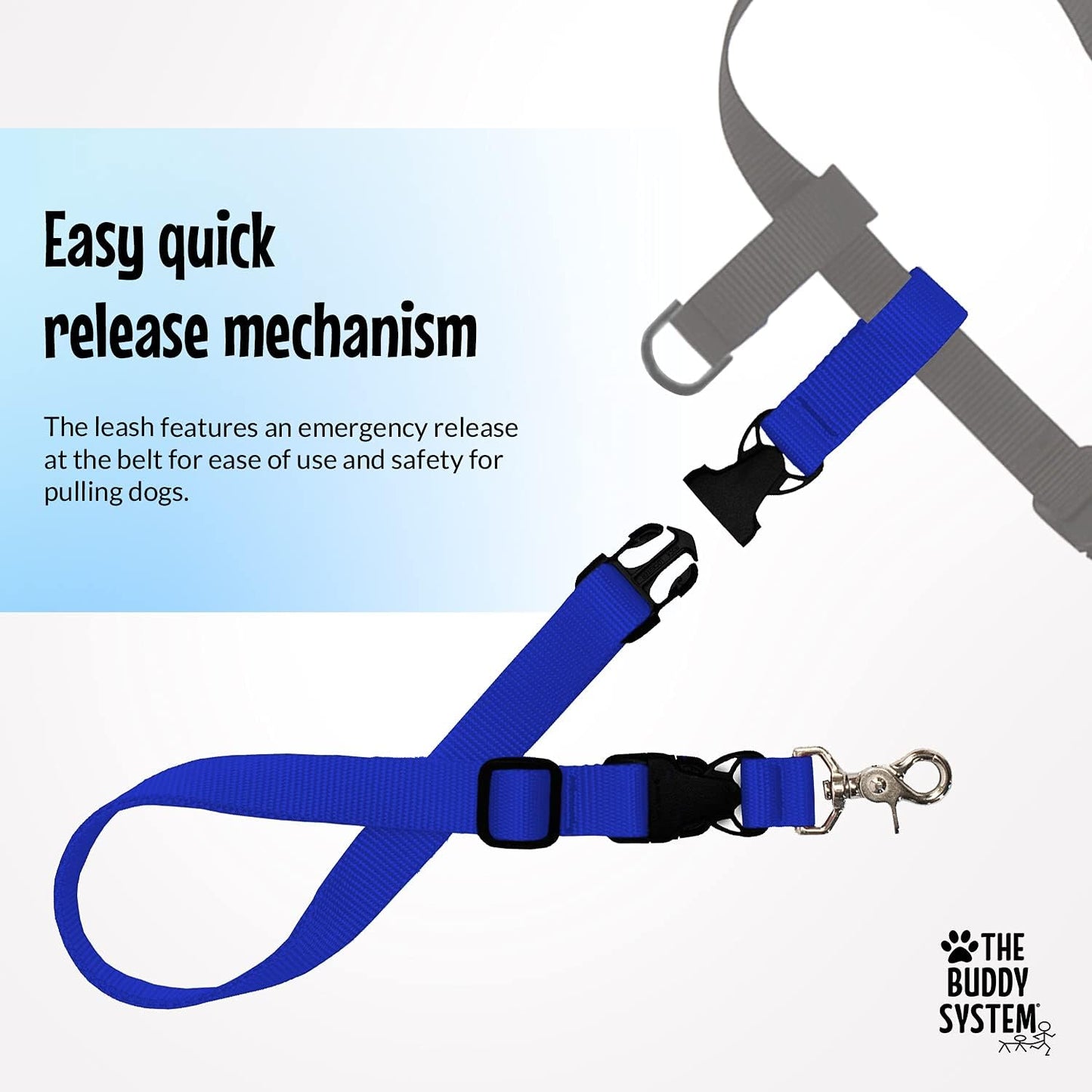 - Hands Free Dog Leash - Regular Dog, Large, Royal Blue | Dog Leash for Walking, Running & Training - Adjustable Waist Belt for Comfort and Control. Customizable - Dogs over 20Lbs.