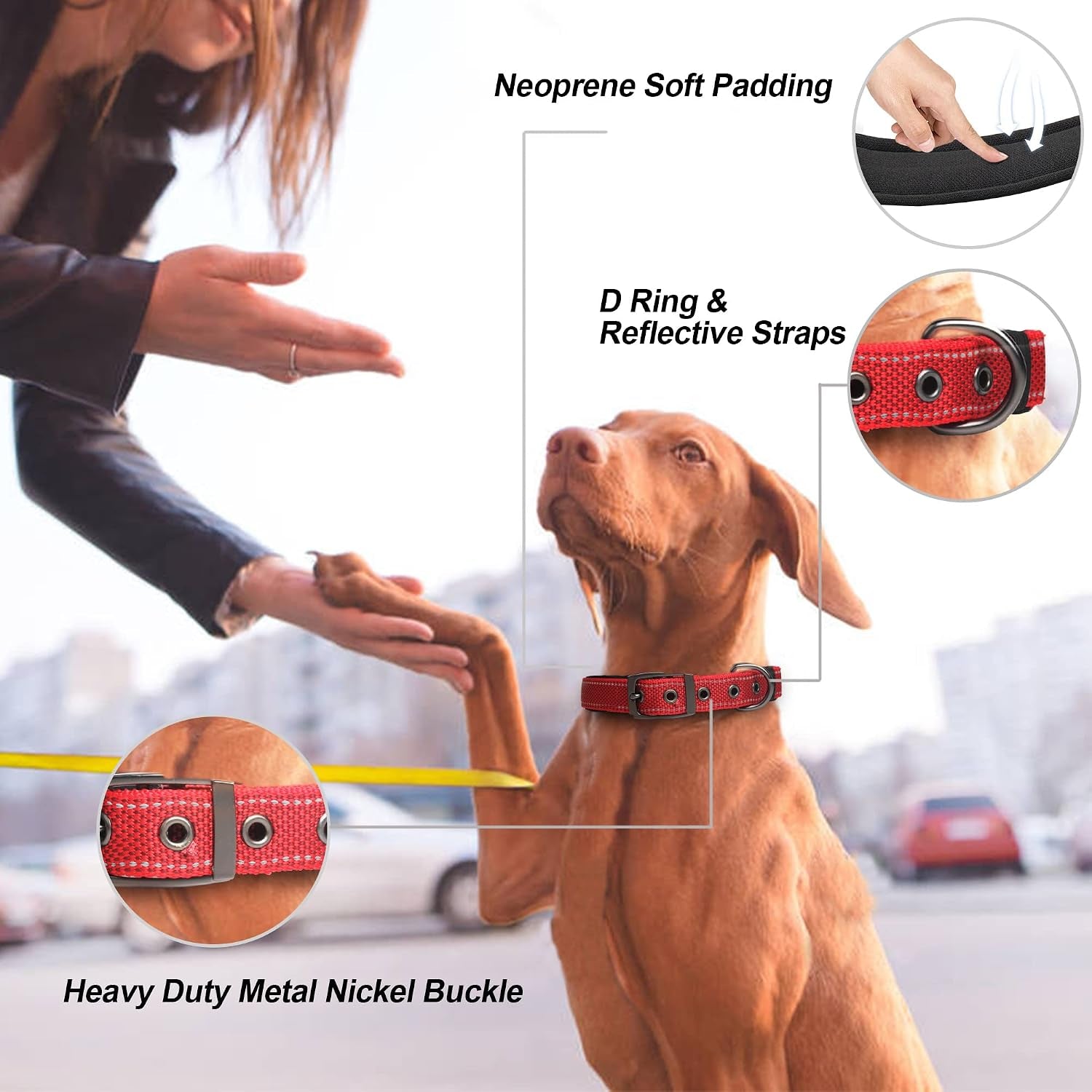 Dog Collar with Metal Buckle, Heavy Duty Dog Collar with Soft Neoprene Padded, Adjustable Reflective Nylon Dog Collars for Small Medium Large Dogs, Red,S