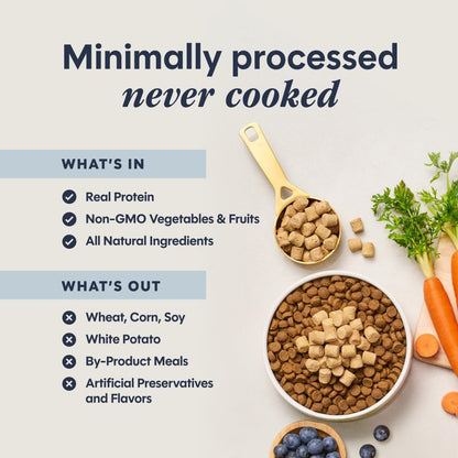 Raw Boost Mixers Freeze Dried Raw Cat Food Topper, Grain Free Cat Food Topper 6 Ounce (Pack of 1) | Freeze-Dried Raw Meal Topper or Treat, Cage-Free Chicken, Non-Gmo Fruits & Vegetables, Adds Nutrition & Flavor