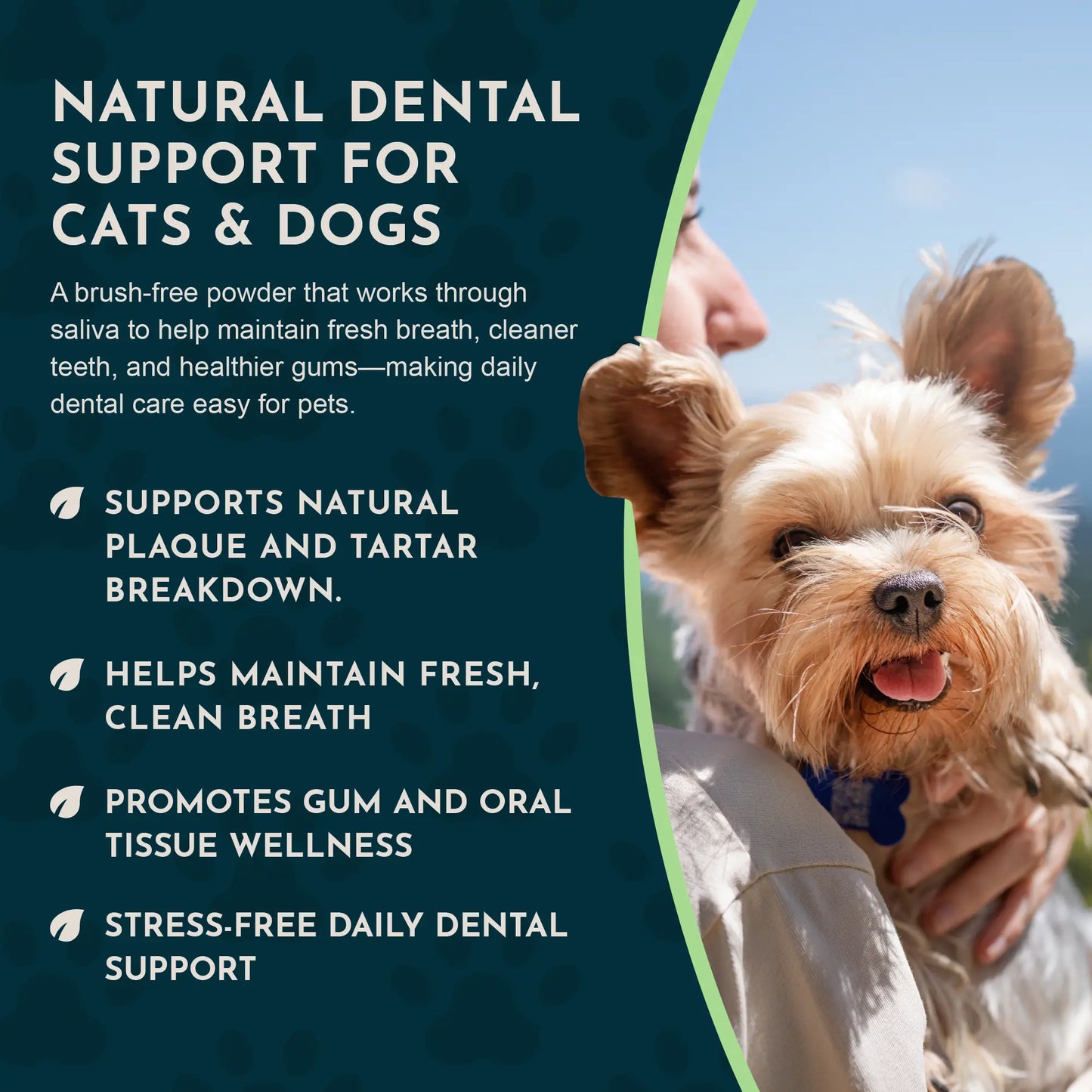 Sea-Dent Anti-Plaque Powder - Dog Dental Powder for Teeth & Gum Support - Organic Kelp & Plant Enzymes for Dogs & Cats