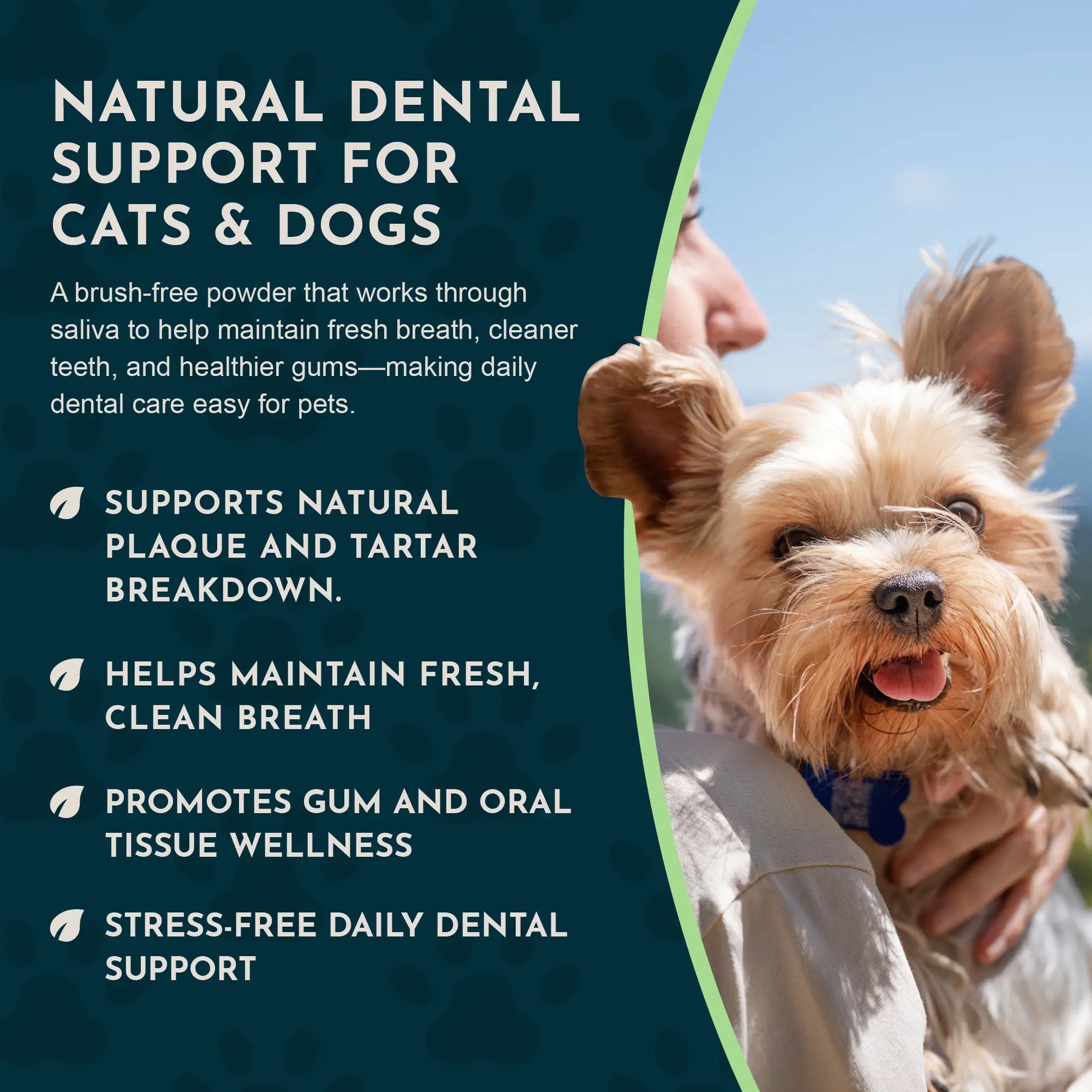Sea-Dent Anti-Plaque Powder - Dog Dental Powder for Teeth & Gum Support - Organic Kelp & Plant Enzymes for Dogs & Cats