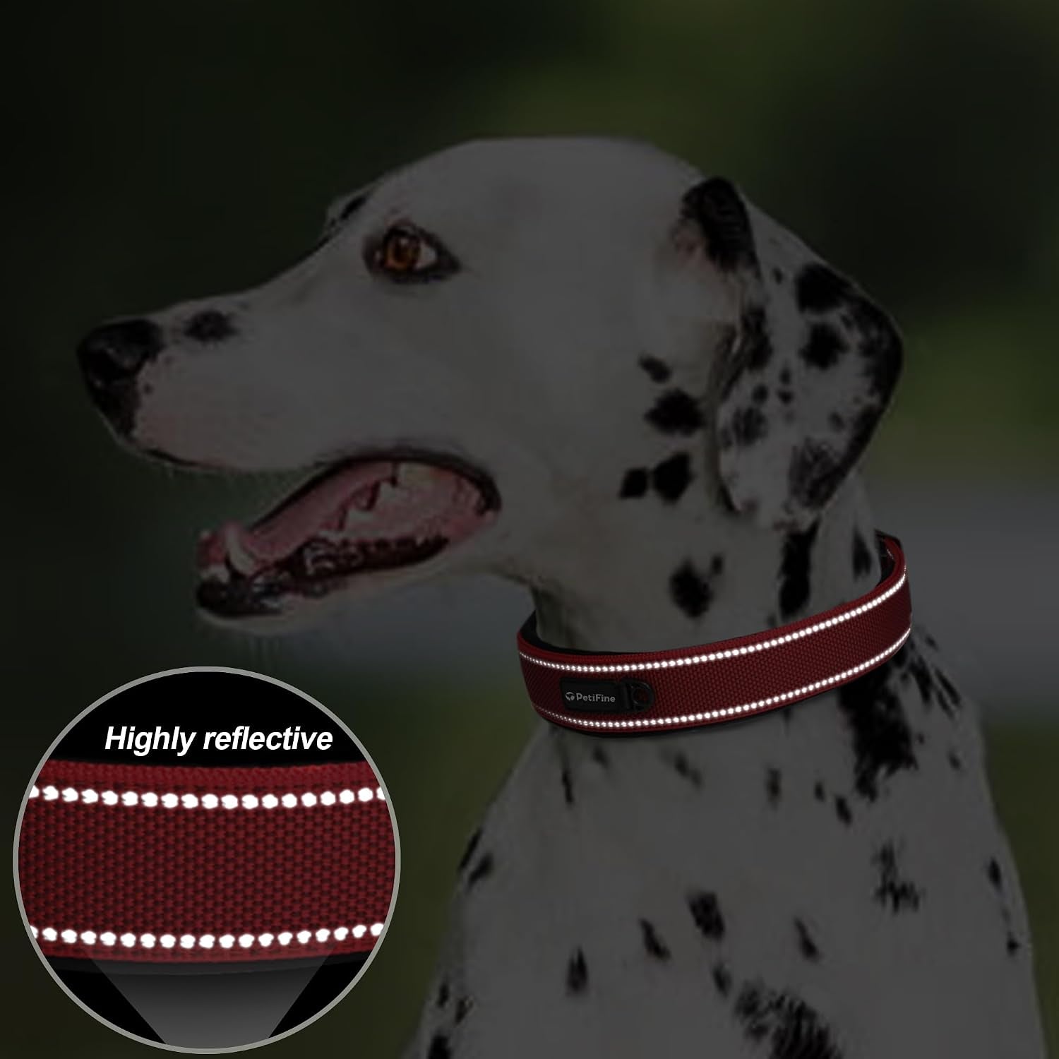 Dog Collar with Metal Buckle, Heavy Duty Dog Collar with Soft Neoprene Padded, Adjustable Reflective Nylon Dog Collars for Small Medium Large Dogs, Red,S
