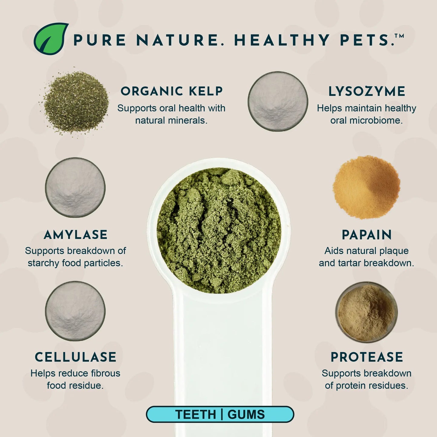 Sea-Dent Anti-Plaque Powder - Dog Dental Powder for Teeth & Gum Support - Organic Kelp & Plant Enzymes for Dogs & Cats