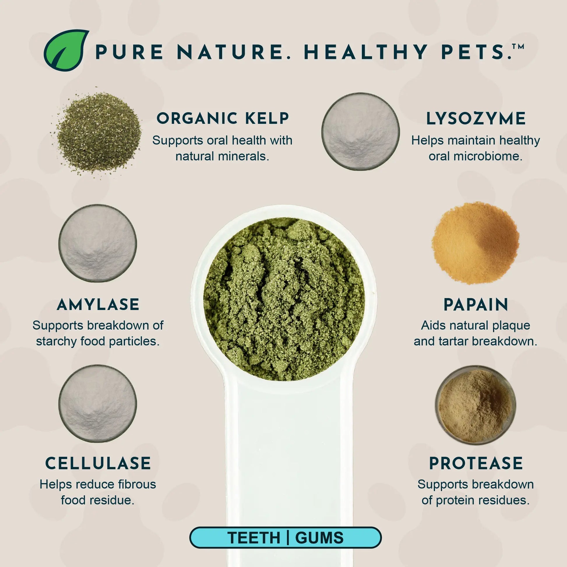 Sea-Dent Anti-Plaque Powder - Dog Dental Powder for Teeth & Gum Support - Organic Kelp & Plant Enzymes for Dogs & Cats