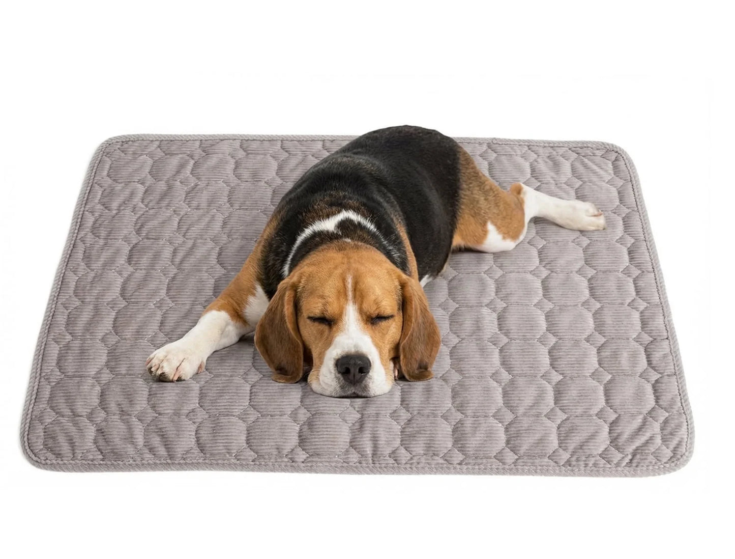 Extra Large Dog Crate Mat,48 X 36 Inch Dog Kennel Mat with Anti-Slip Bottom, Washable Soft Corduroy Dog Mat with Three-Dimensional Texture and Durable Fine Hemming