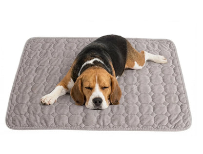 Extra Large Dog Crate Mat,48 X 36 Inch Dog Kennel Mat with Anti-Slip Bottom, Washable Soft Corduroy Dog Mat with Three-Dimensional Texture and Durable Fine Hemming