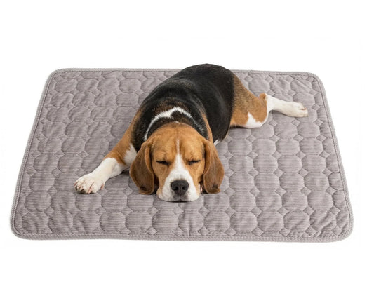 Extra Large Dog Crate Mat,48 X 36 Inch Dog Kennel Mat with Anti-Slip Bottom, Washable Soft Corduroy Dog Mat with Three-Dimensional Texture and Durable Fine Hemming