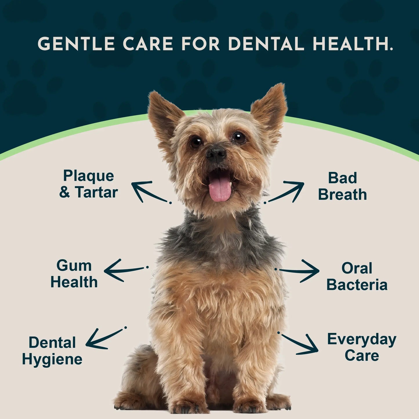 Sea-Dent Anti-Plaque Powder - Dog Dental Powder for Teeth & Gum Support - Organic Kelp & Plant Enzymes for Dogs & Cats