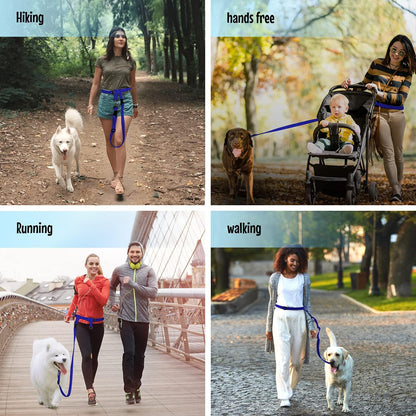 - Hands Free Dog Leash - Regular Dog, Large, Royal Blue | Dog Leash for Walking, Running & Training - Adjustable Waist Belt for Comfort and Control. Customizable - Dogs over 20Lbs.